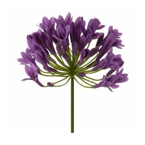 AGAPANT sztuczny kwiat dekoracyjny z płatkami z jedwabistej tkaniny 76 cm fioletowy