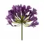 AGAPANT sztuczny kwiat dekoracyjny z płatkami z jedwabistej tkaniny 76 cm fioletowy Sklep on-line
