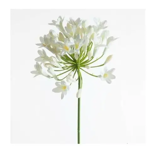 AGAPANT sztuczny kwiat dekoracyjny z płatkami z jedwabistej tkaniny 76 cm kremowy