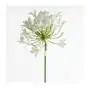 AGAPANT sztuczny kwiat dekoracyjny z płatkami z jedwabistej tkaniny 76 cm kremowy Sklep on-line