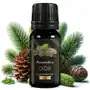 Naturalny Olejek Eteryczny Cedrowy Aromaholik - 10ml Sklep on-line