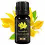 Naturalny Olejek Eteryczny YLANG YLANG Aromaholik - 10ml Sklep on-line