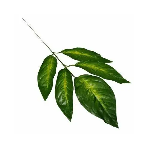 Gałązka z liśćmi 59 cm zielona