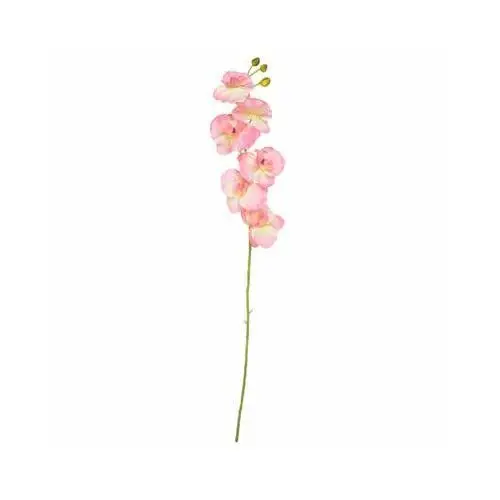 Arpex Kwiat sztuczny storczyk 68 cm mix kolorów