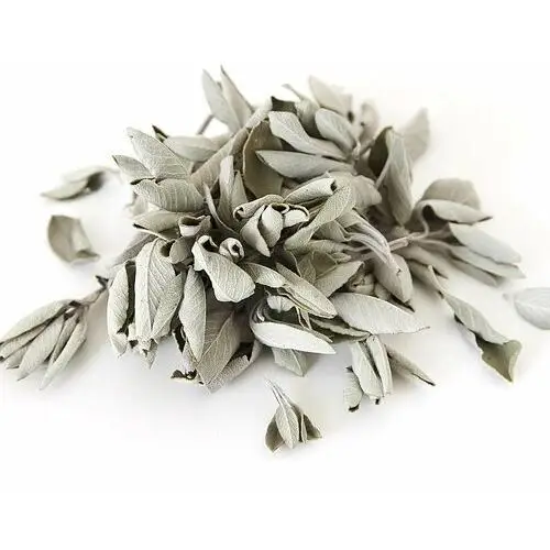 Biała Szałwia (Susz 25G) Kadzidło Oczyszczające (White Sage / Salvia Apiana)