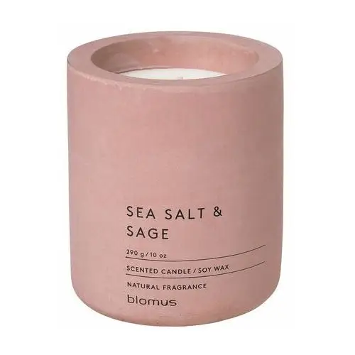 Zapachowa sojowa świeca czas palenia 55 h Fraga: Sea Salt and Sage – Blomus