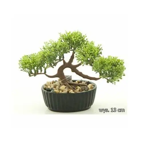 Bonsai w doniczce 13 cm