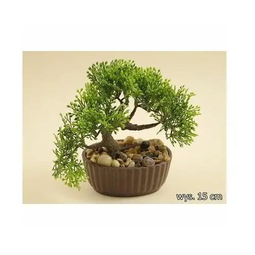 Bonsai w doniczce 15 cm