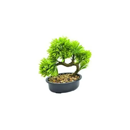 Bonsai w doniczce 23 cm