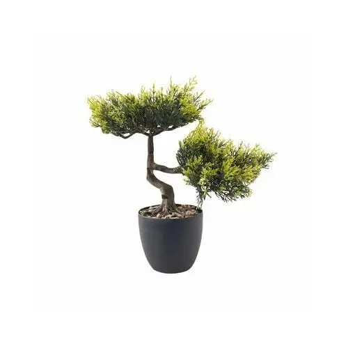 Bonsai w doniczce 30 cm