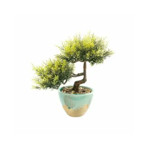 Bonsai w doniczce zielony