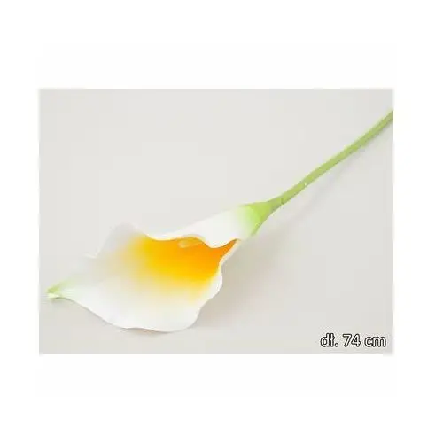 Calla pojedyncza