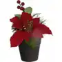 Poinsettia welurowa w doniczce Sklep on-line