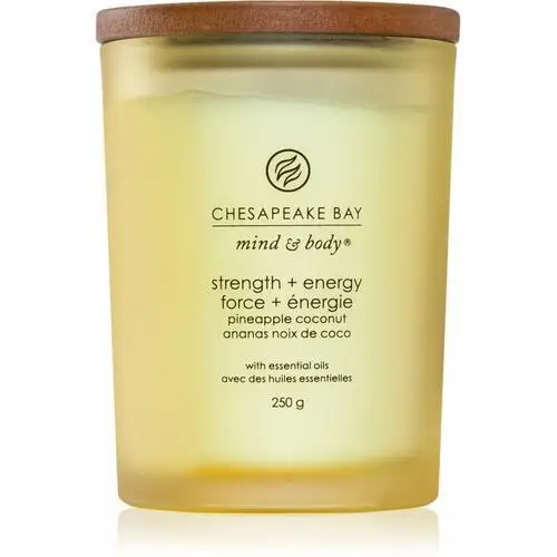 Mind & body strength & energy świeczka zapachowa 250 g Chesapeake bay candle