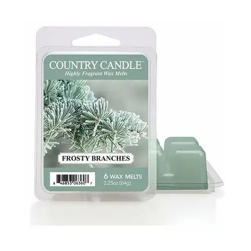 Wosk zapachowy COUNTRY CANDLE Frosty Branches 'potpourri', 64 g