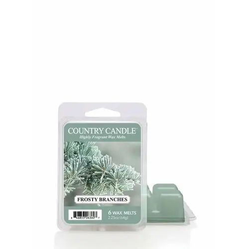 Wosk zapachowy COUNTRY CANDLE Frosty Branches 'potpourri', 64 g