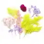 Suszone Kwiaty Dekoracyjne Dpcraft Sklep on-line
