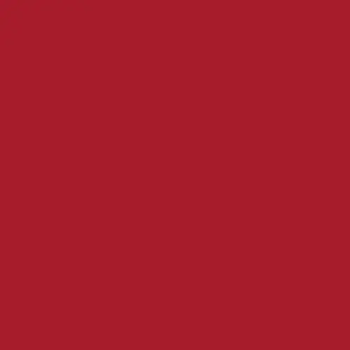 Serwetki 2-warstwowe 24 x 24 cm czerwone (2400 szt.)