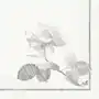 Duni Serwetki 3-warstwowe 33 x 33 cm szare rose (500 szt.) Sklep on-line