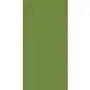Serwetki 3-warstwowe 33 x 33 cm zielone (1000 szt.) Duni Sklep on-line