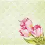 Serwetki DUNISOFT® 40 x 40 cm Love Tulips (360 szt.) Sklep on-line