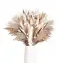 Duży bukiet suszone kwiaty trawa pampasowa 40 cm (100 szt) Sklep on-line