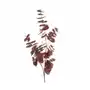 EUKALIPTUS - gałązka ozdobna, sztuczny kwiat dekoracyjny 90 cm bordowy Sklep on-line