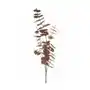 EUKALIPTUS - gałązka ozdobna, sztuczny kwiat dekoracyjny 90 cm brązowy Sklep on-line