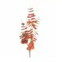 EUKALIPTUS - gałązka ozdobna, sztuczny kwiat dekoracyjny 90 cm ceglasty Sklep on-line
