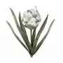 Eurofirany Karczoch - sztuczny kwiat dekoracyjny z pianki foamirian ∅ 12 x 60 cm biały,srebrny Sklep on-line
