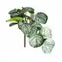 Kwiat sztuczny dekoracyjny o zielono-białych liściach 40 cm zielony,biały Sklep on-line