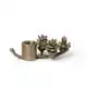 Ferm LIVING Forest świecznik 6 cm brass Sklep on-line