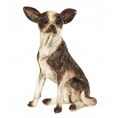 Figurka Chihuahua pies żywica syntetyczna 30cm