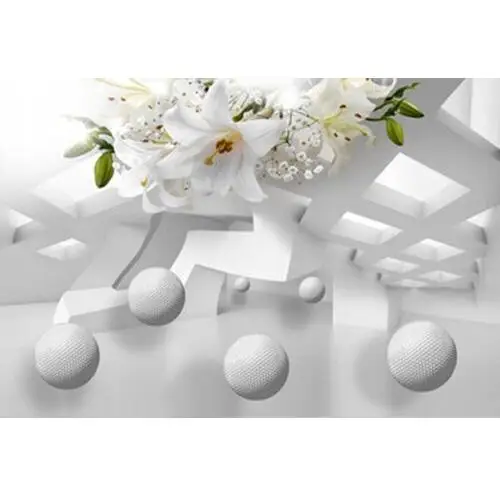 Fototapeta 3D Grafika Tunel Kule Kwiat Kwiaty