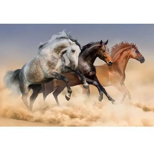 Fototapeta 3D Koń Konie Zwierzęta Krajobraz