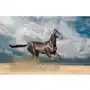 Fototapeta 3D Koń Konie Zwierzęta Krajobraz Sklep on-line