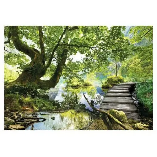 Fototapeta Drzewo 3D Las Jezioro Krajobraz Natura Pomost Tapeta 368x254