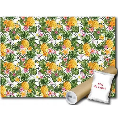 Fototapeta Grafika Ananas 15B Fxl 208x146 F11066