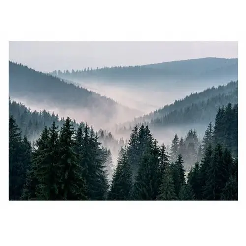 Fototapeta Krajobraz Górski Drzewa Natura 254x184