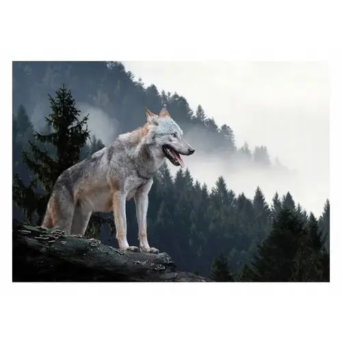 Fototapeta Krajobraz Górski Wilk Zwierzęta 254x184