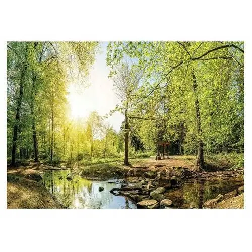 Fototapeta Las Drzewa Krajobraz Natura 3D 254x184