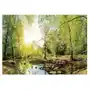 Fototapeta Las Drzewa Krajobraz Natura 3D 254x184 Sklep on-line