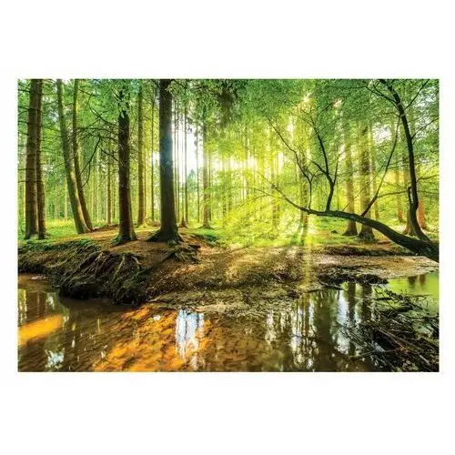 Fototapeta Zielony Las 3D Drzewa Krajobraz 416x254