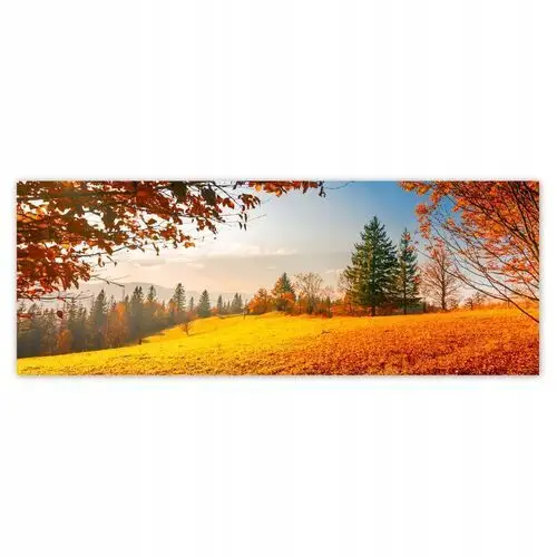 Fototapety 250x93 Jesienny krajobraz
