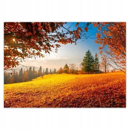 Fototapety 312x219 Jesienny krajobraz