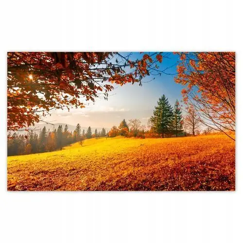 Fototapety 416x254 Jesienny krajobraz