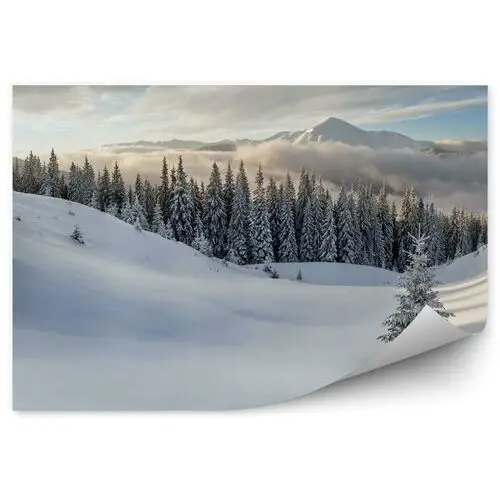 Góry zima śnieg krajobraz Fototapeta Góry zima śnieg krajobraz 250x250cm MagicStick