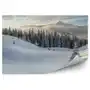 Fototapety.pl Góry zima śnieg krajobraz fototapeta góry zima śnieg krajobraz 250x250cm fizelina Sklep on-line