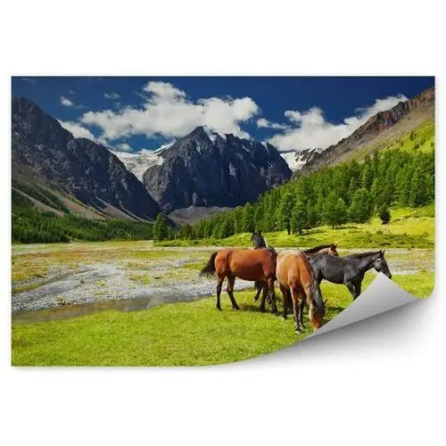 Konie i górski krajobraz fototapeta konie i górski krajobraz 250x250cm magicstick Fototapety.pl