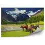 Konie i górski krajobraz fototapeta konie i górski krajobraz 250x250cm magicstick Fototapety.pl Sklep on-line